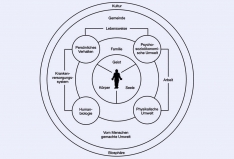 Abb.: Hancocks „Mandala-Modell der Gesundheit“ (in: Blättner B. / Waller H., Gesundheitswissenschaft, Stuttgart 201, 83)